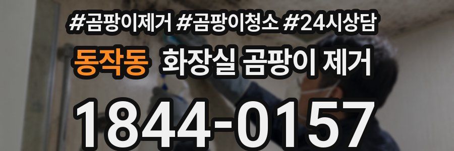 동작동 화장실 곰팡이 제거