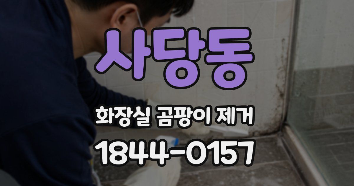 사당동 화장실 곰팡이 제거