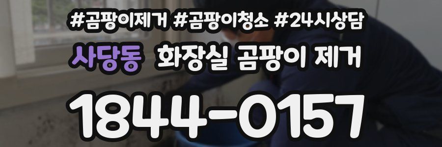 사당동 화장실 곰팡이 제거