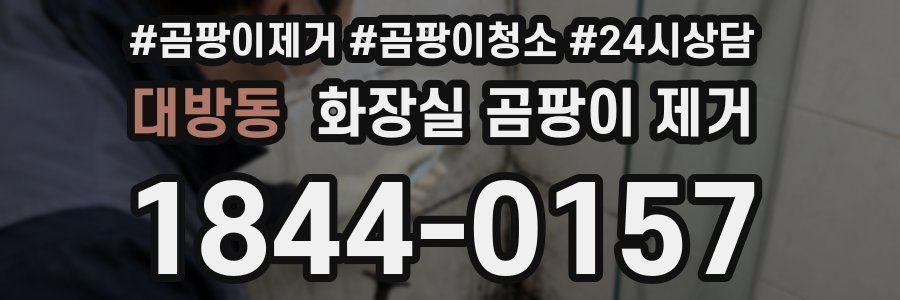 대방동 화장실 곰팡이 제거