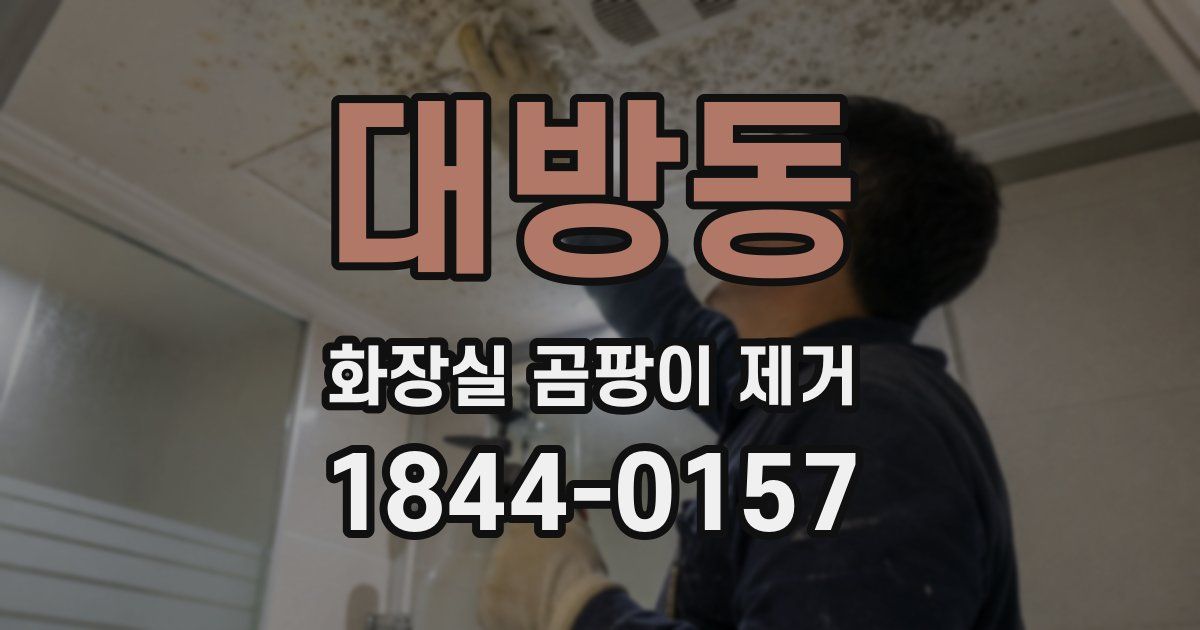 대방동 화장실 곰팡이 제거