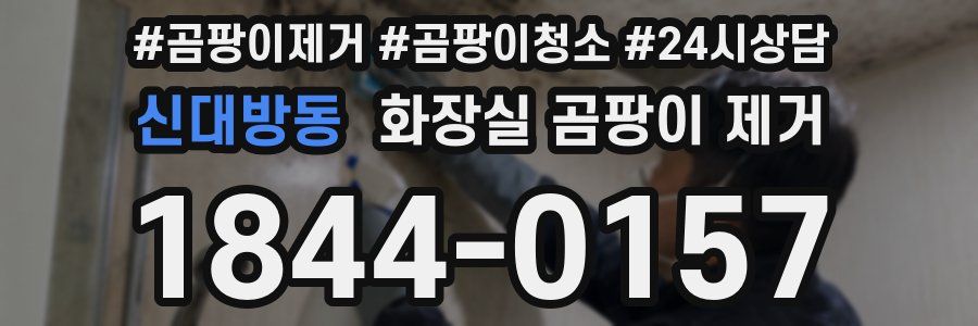 신대방동 화장실 곰팡이 제거