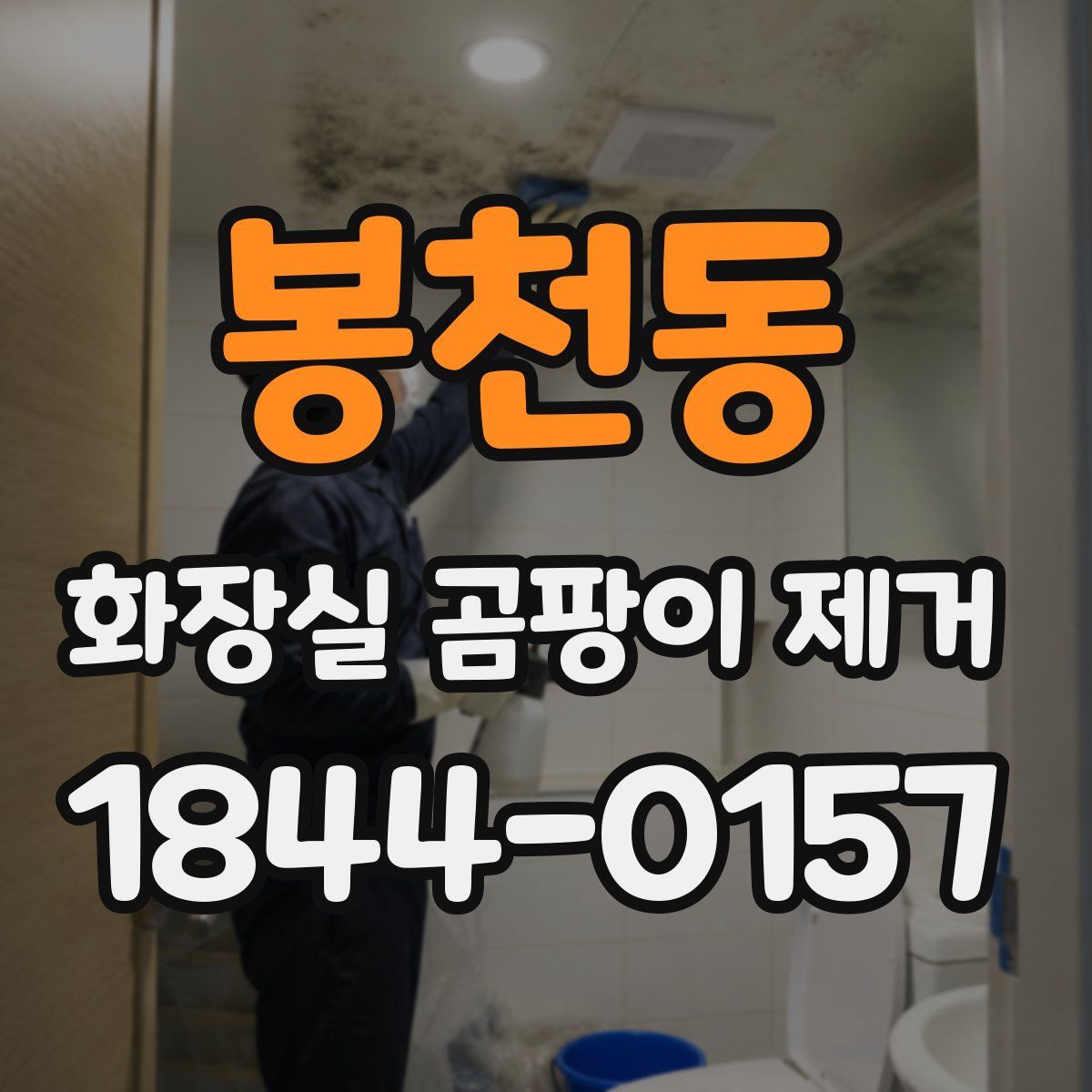 봉천동 화장실 곰팡이 제거