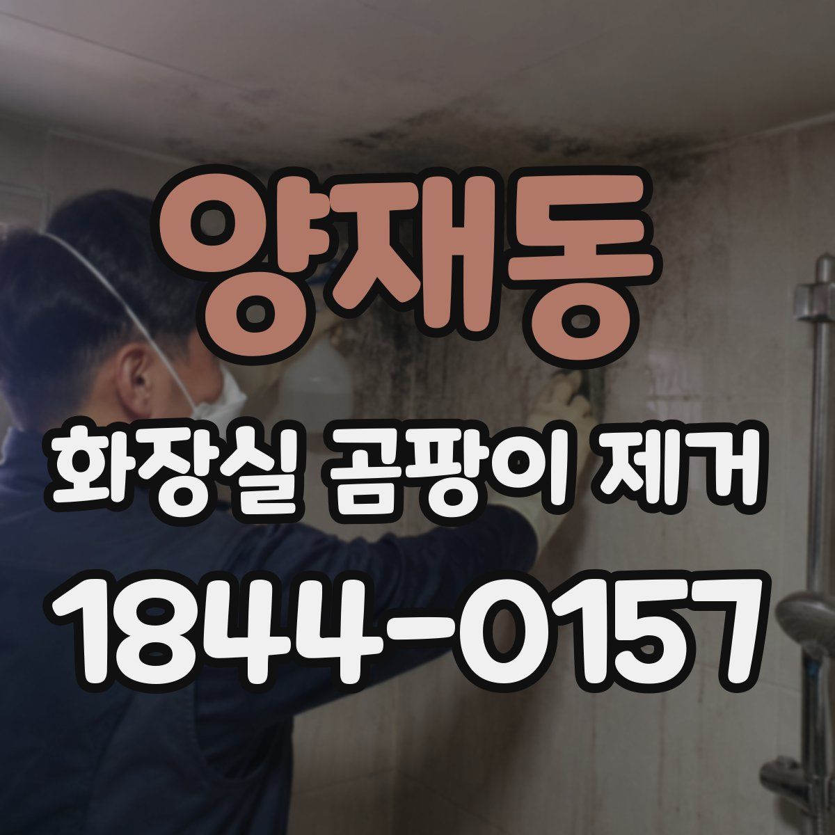 양재동 화장실 곰팡이 제거