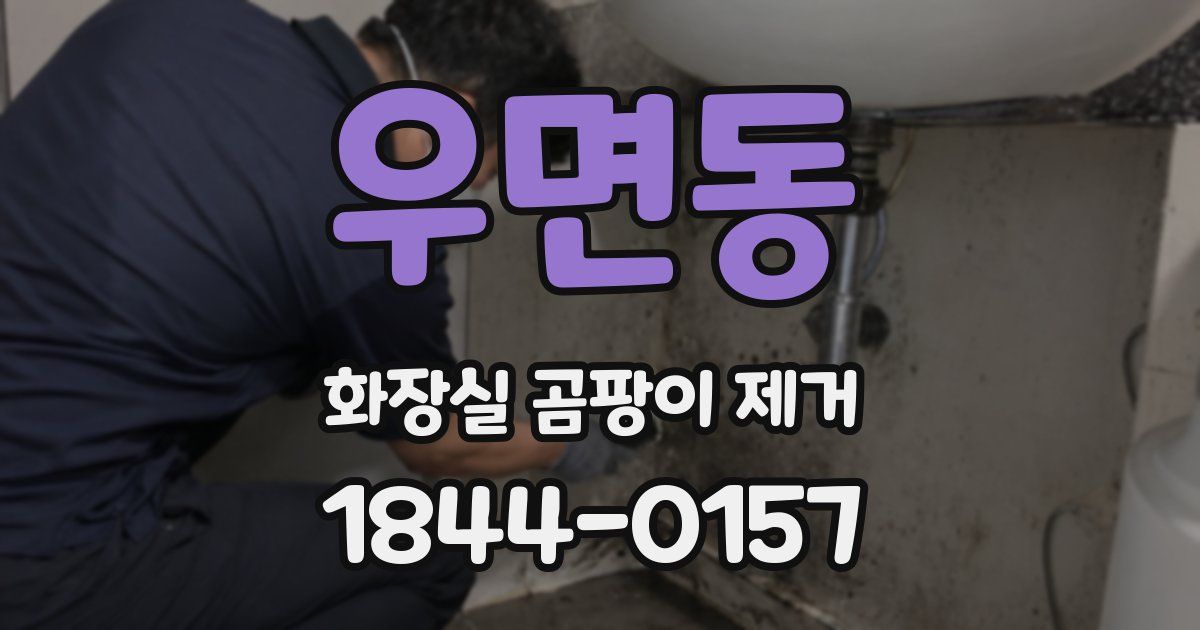 우면동 화장실 곰팡이 제거