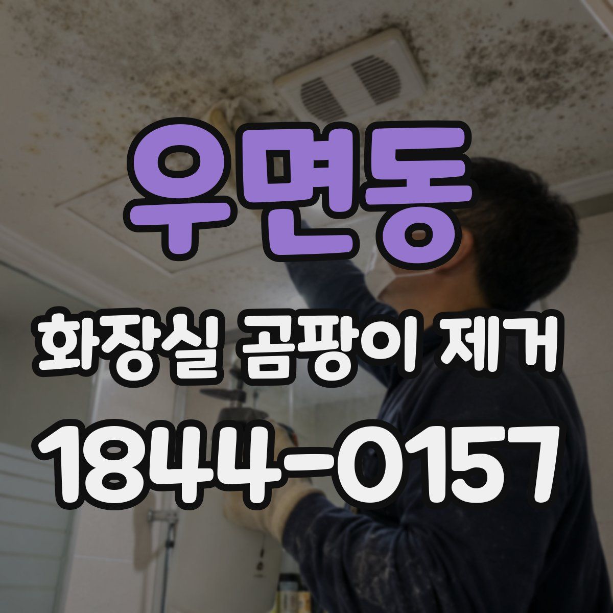 우면동 화장실 곰팡이 제거