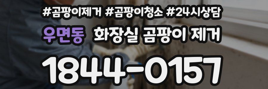 우면동 화장실 곰팡이 제거