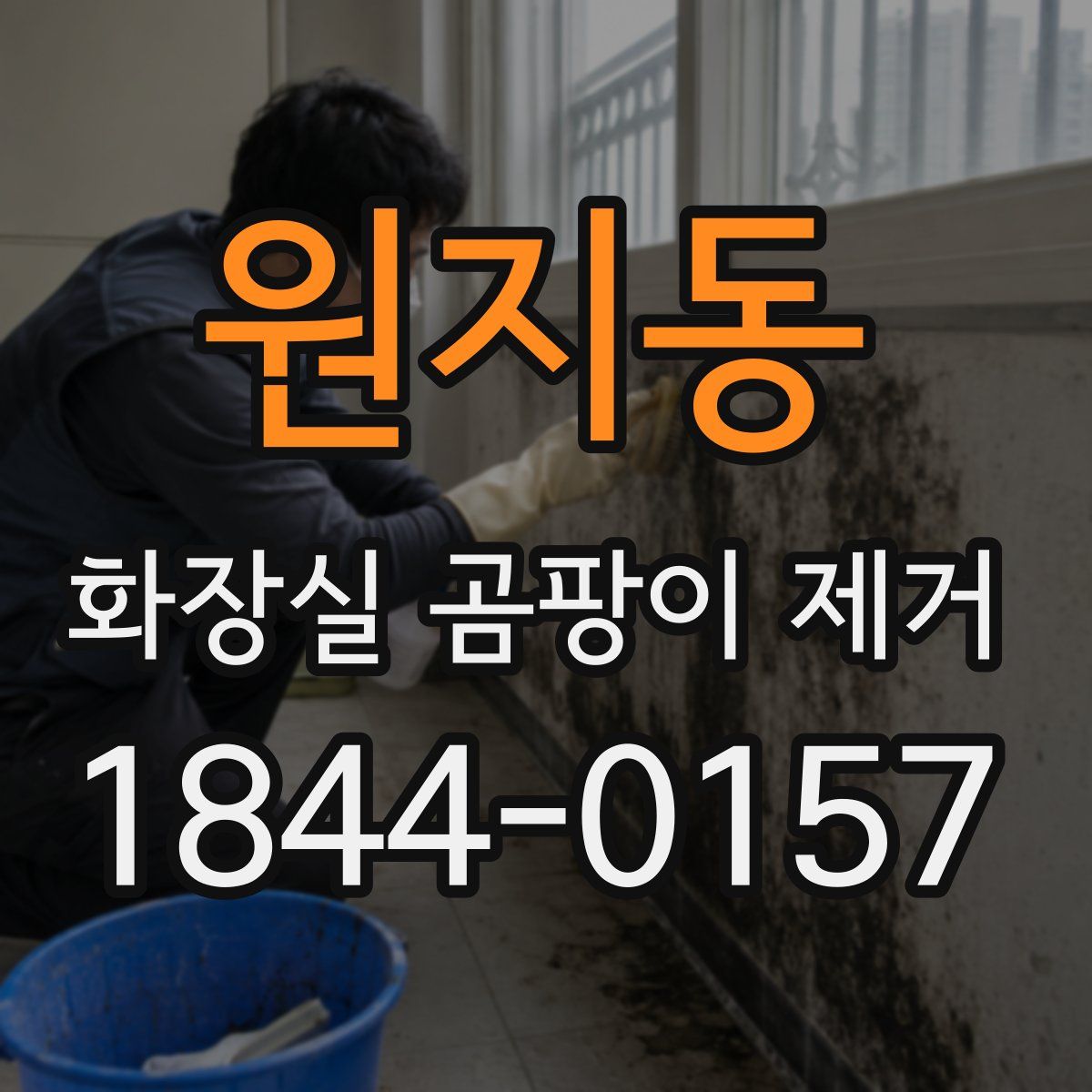 원지동 화장실 곰팡이 제거