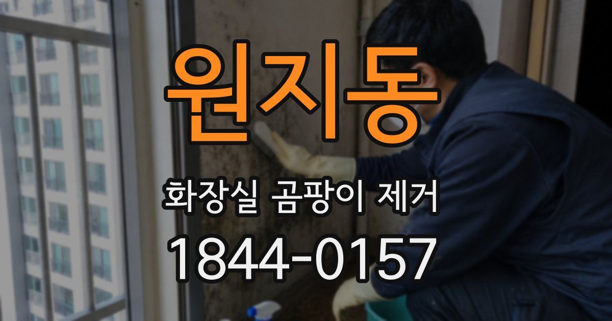 원지동 화장실 곰팡이 제거