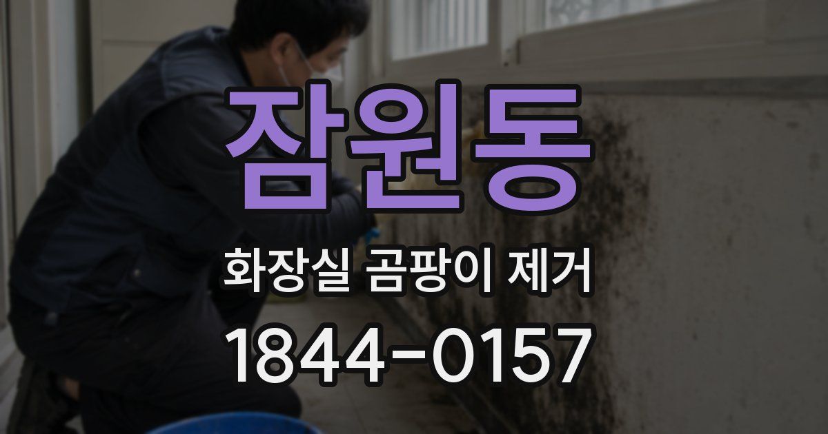 잠원동 화장실 곰팡이 제거