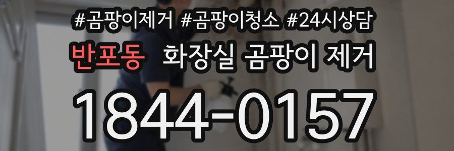 반포동 화장실 곰팡이 제거