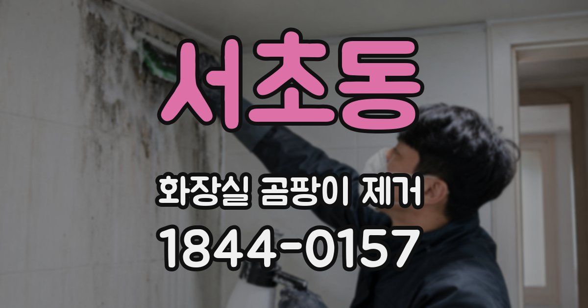 서초동 화장실 곰팡이 제거