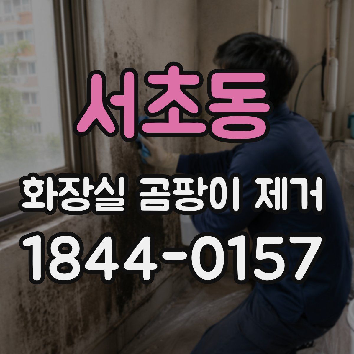 서초동 화장실 곰팡이 제거