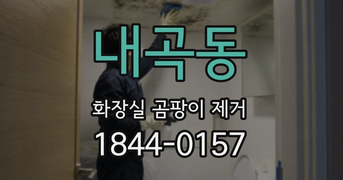 내곡동 화장실 곰팡이 제거