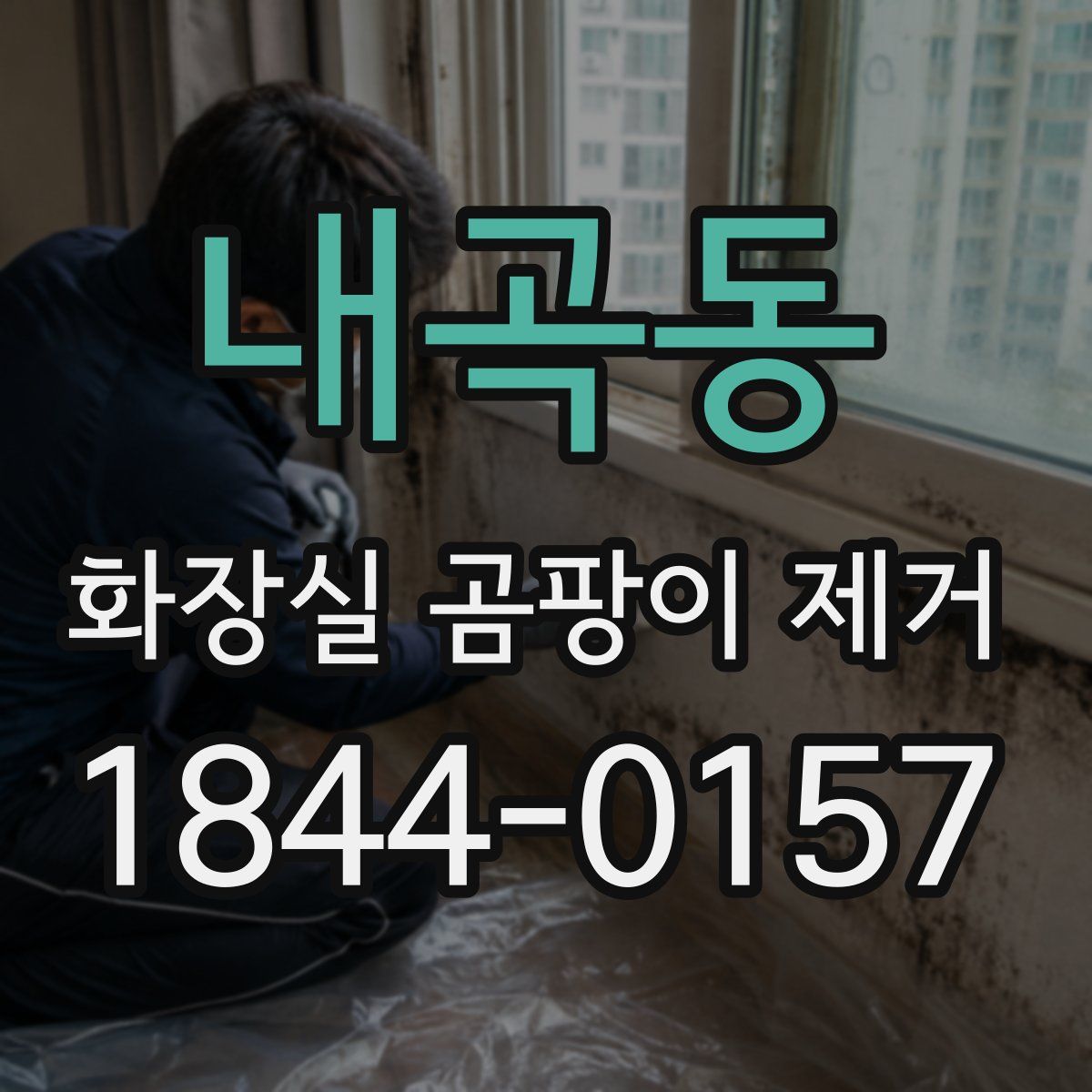 내곡동 화장실 곰팡이 제거