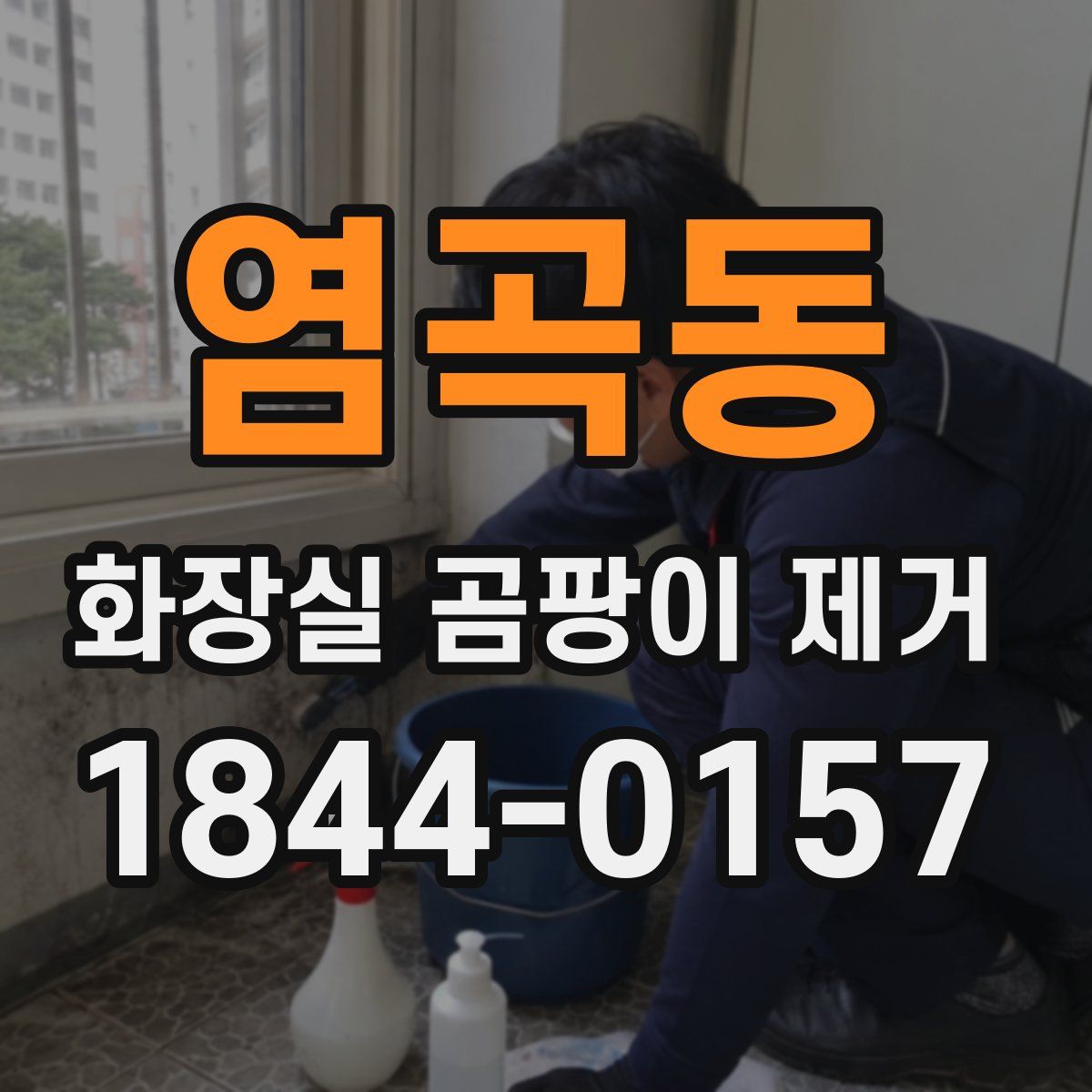염곡동 화장실 곰팡이 제거