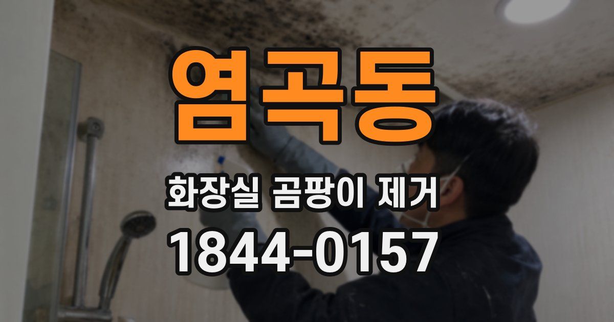 염곡동 화장실 곰팡이 제거