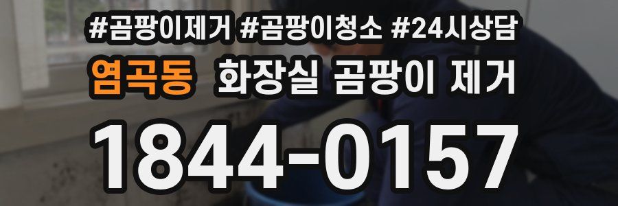 염곡동 화장실 곰팡이 제거