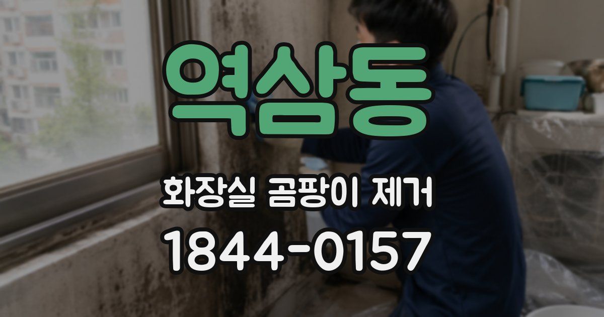 역삼동 화장실 곰팡이 제거