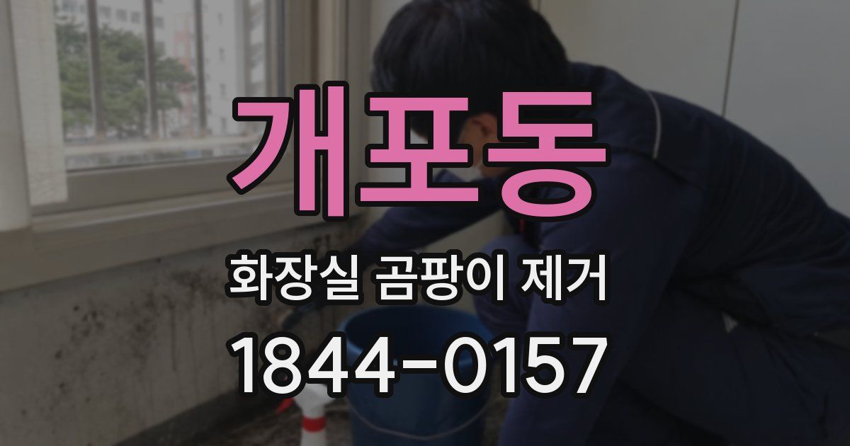 개포동 화장실 곰팡이 제거