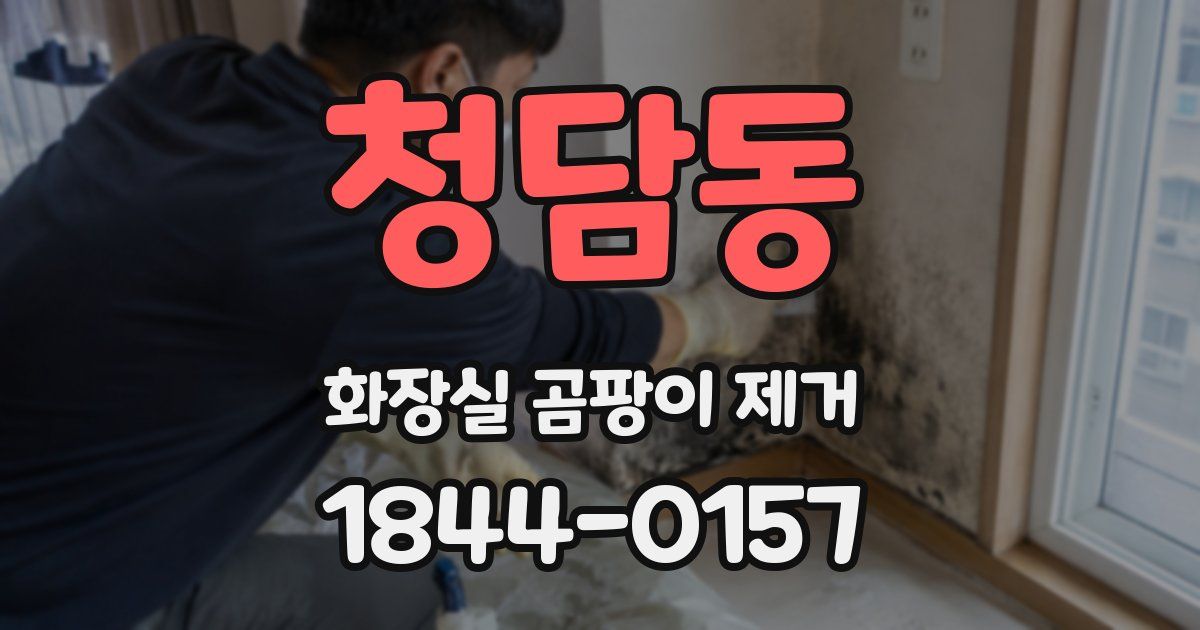 청담동 화장실 곰팡이 제거