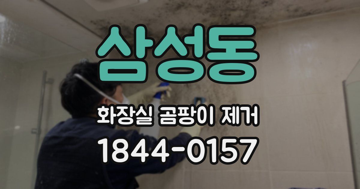 삼성동 화장실 곰팡이 제거