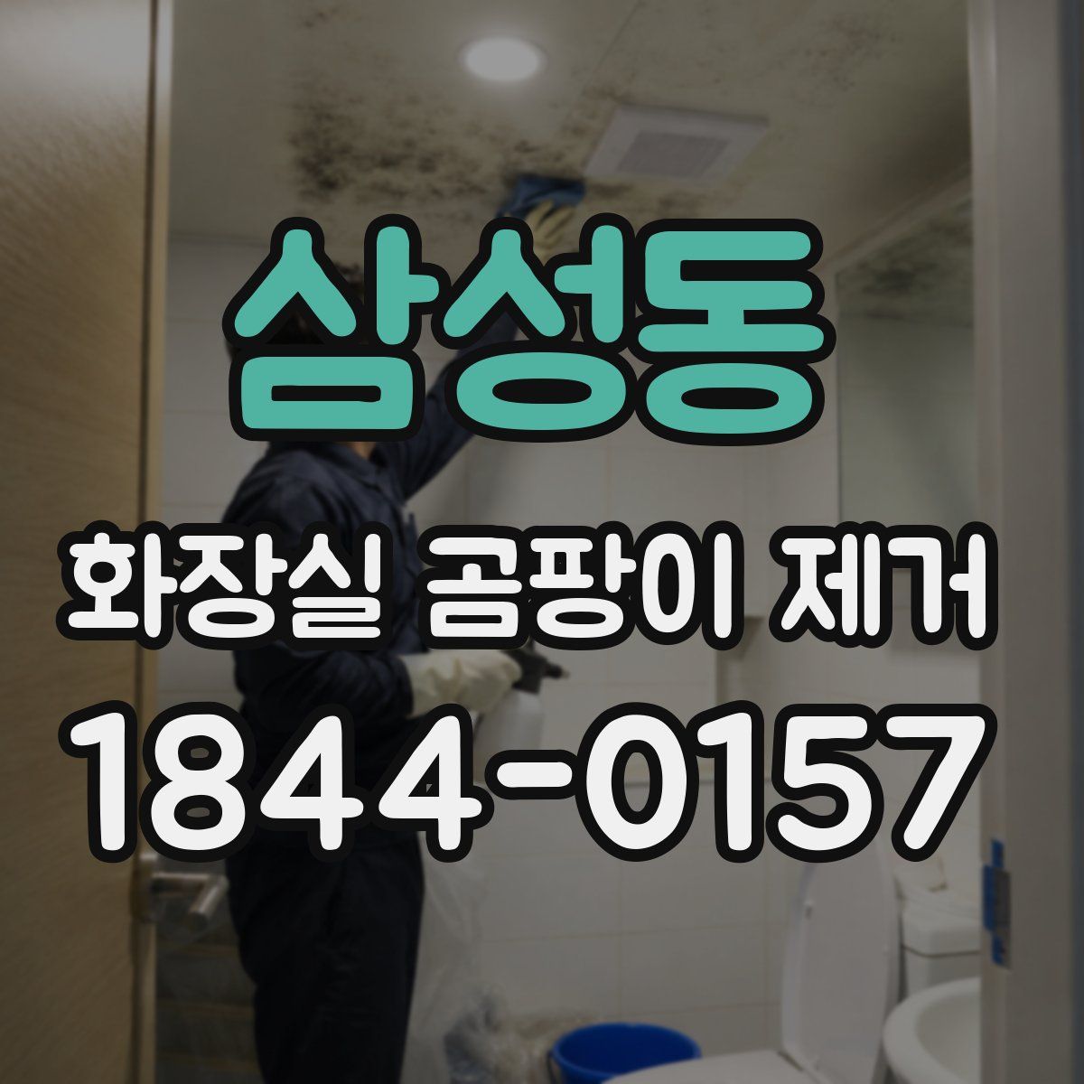 삼성동 화장실 곰팡이 제거