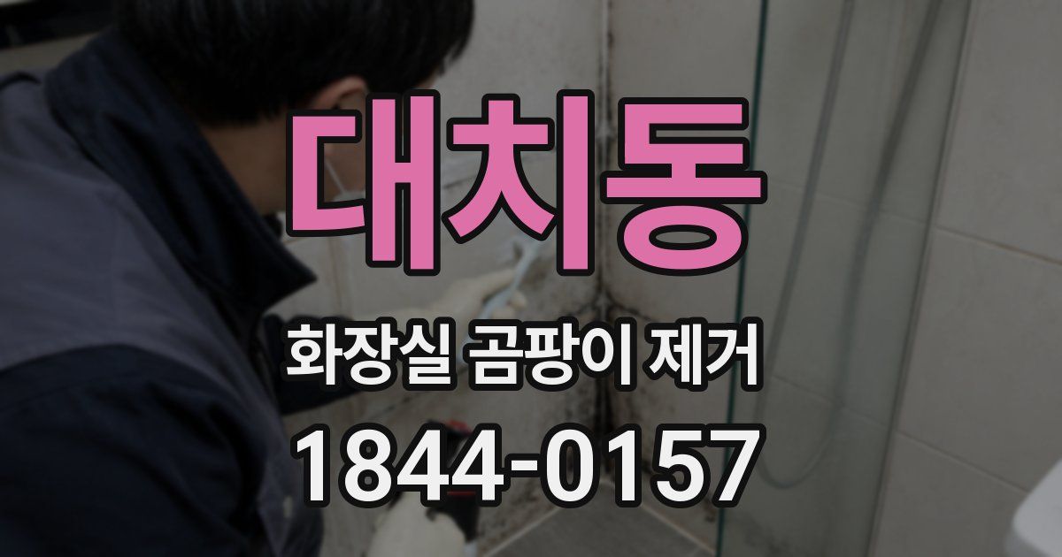 대치동 화장실 곰팡이 제거