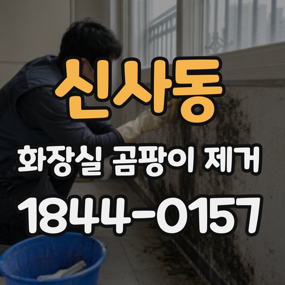 신사동 화장실 곰팡이 제거
