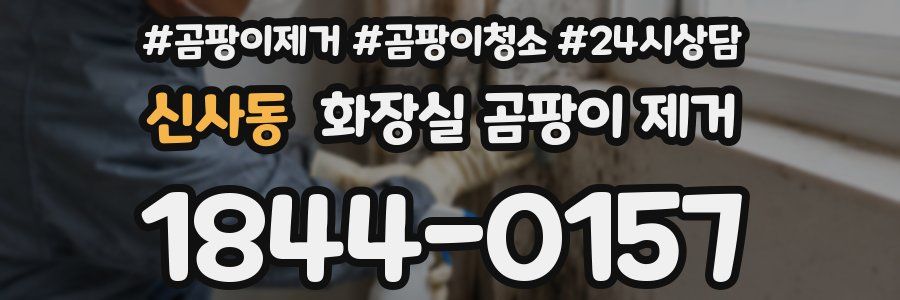 신사동 화장실 곰팡이 제거