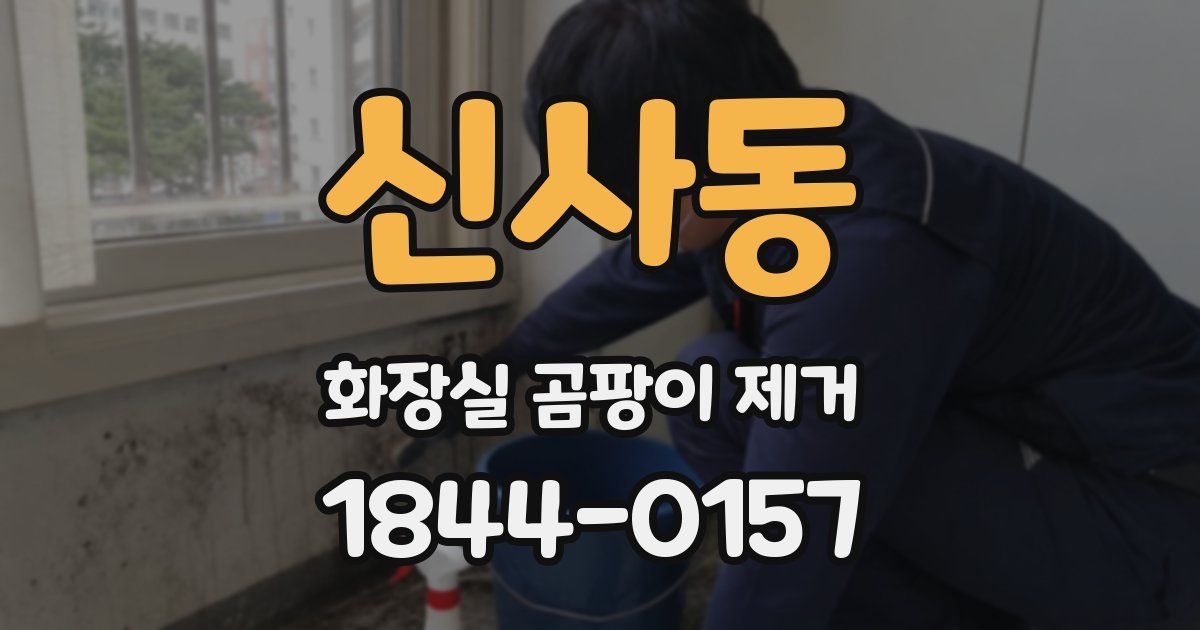 신사동 화장실 곰팡이 제거