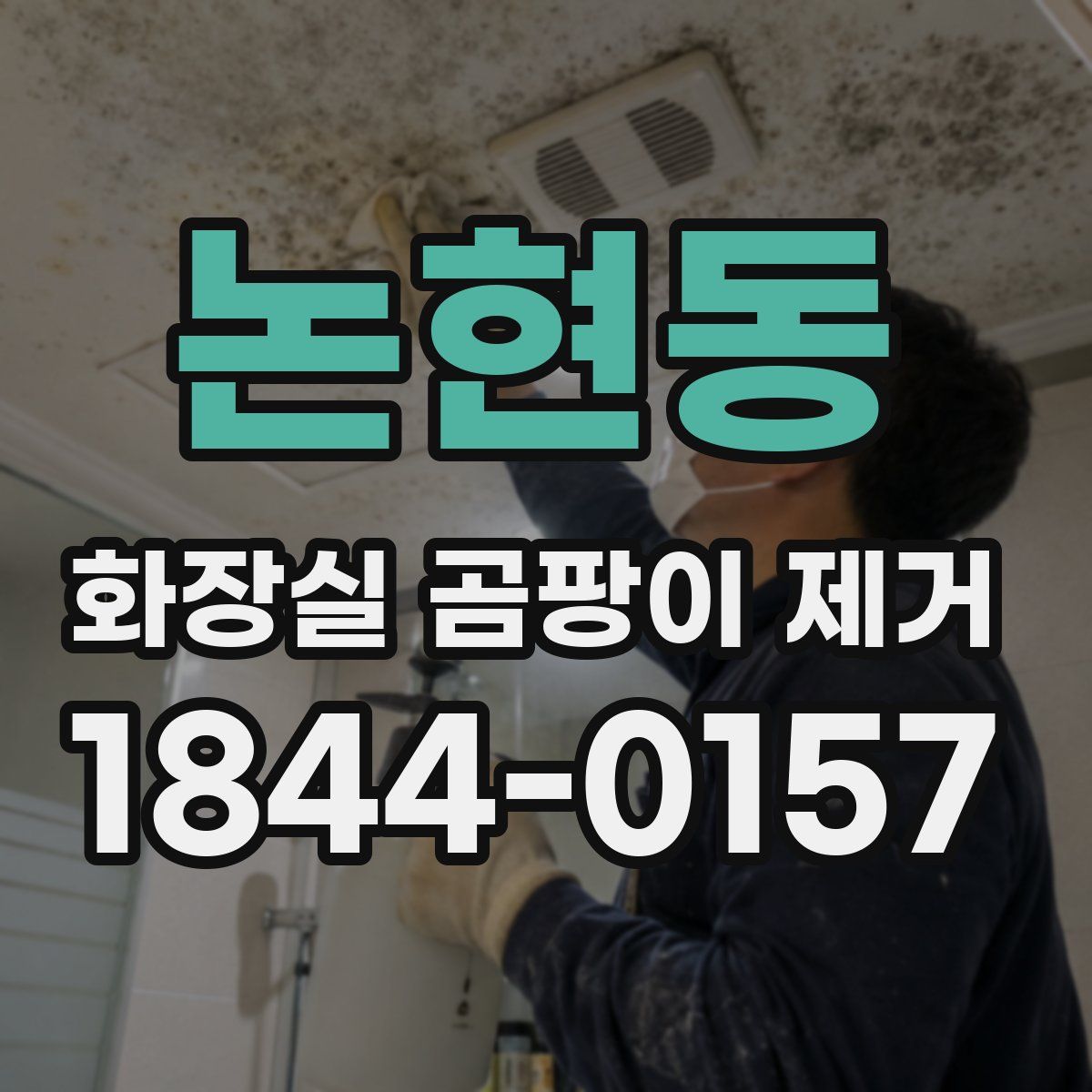 논현동 화장실 곰팡이 제거