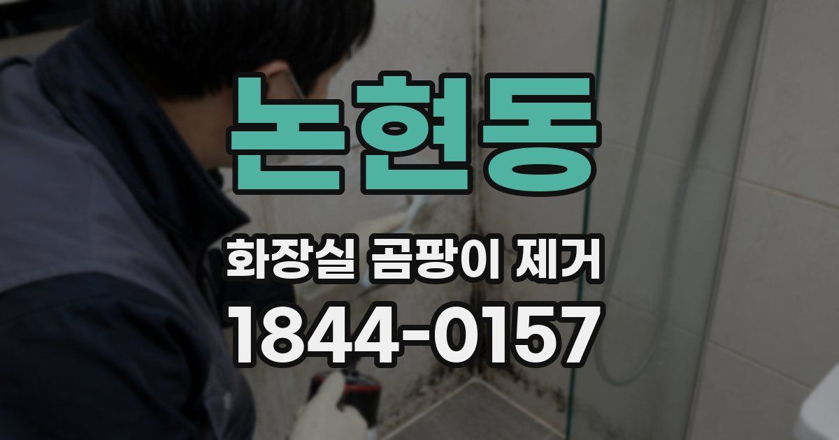 논현동 화장실 곰팡이 제거