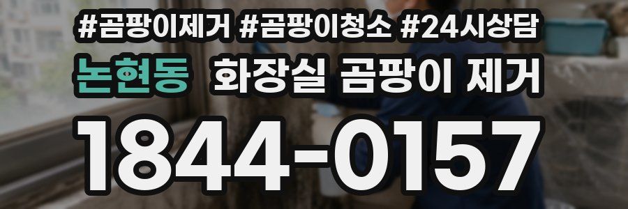 논현동 화장실 곰팡이 제거