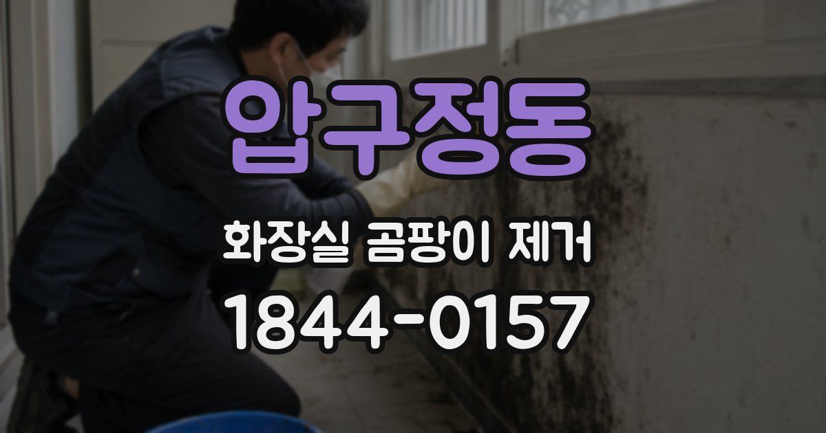 압구정동 화장실 곰팡이 제거