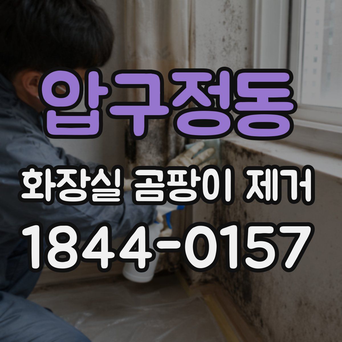 압구정동 화장실 곰팡이 제거