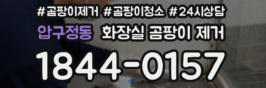 압구정동 화장실 곰팡이 제거
