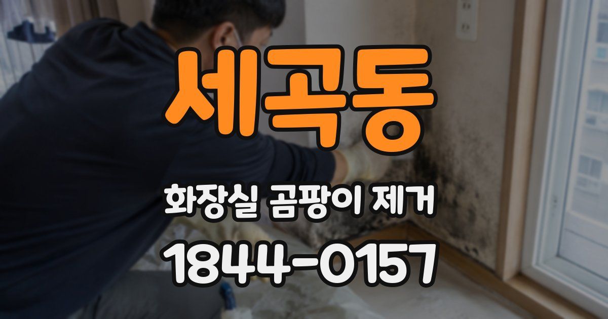 세곡동 화장실 곰팡이 제거