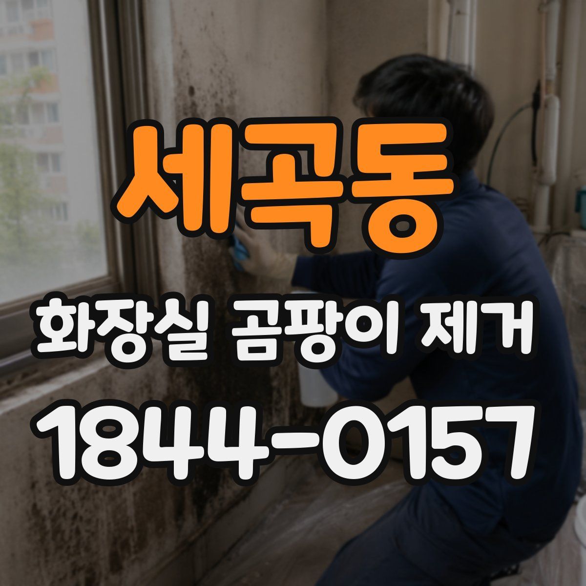 세곡동 화장실 곰팡이 제거