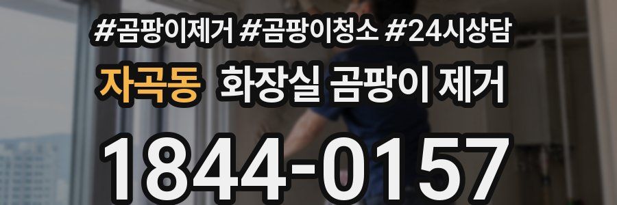자곡동 화장실 곰팡이 제거