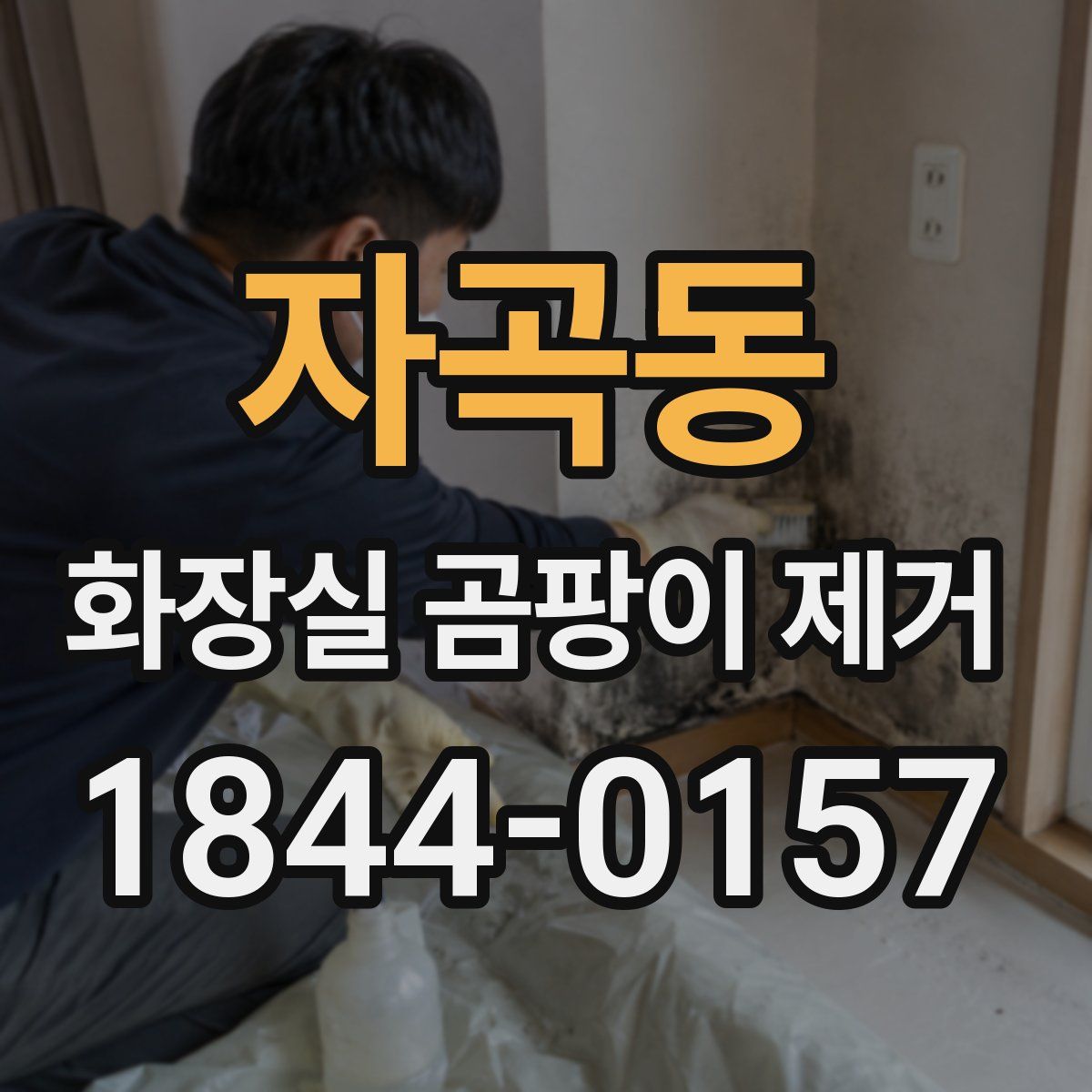 자곡동 화장실 곰팡이 제거