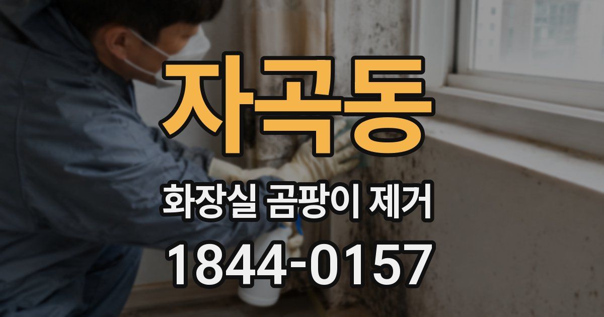 자곡동 화장실 곰팡이 제거