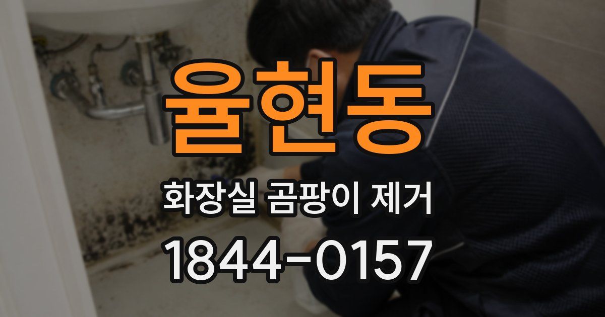 율현동 화장실 곰팡이 제거