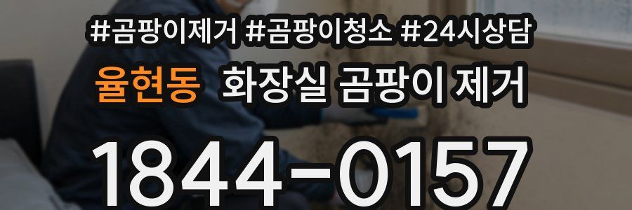 율현동 화장실 곰팡이 제거