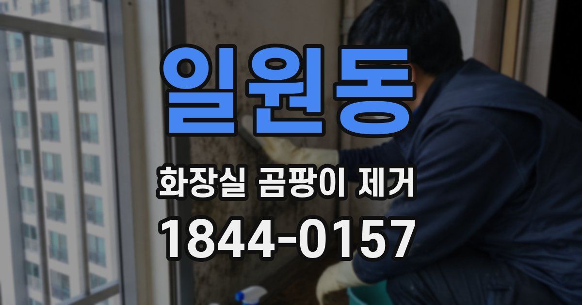 일원동 화장실 곰팡이 제거