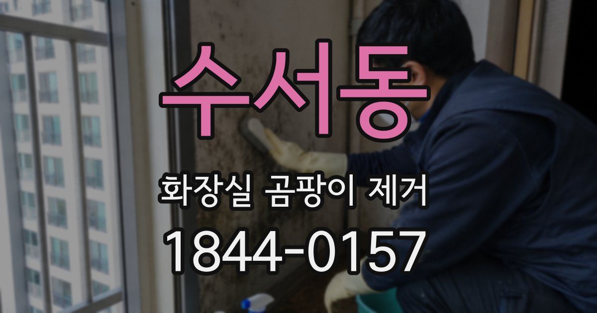 수서동 화장실 곰팡이 제거