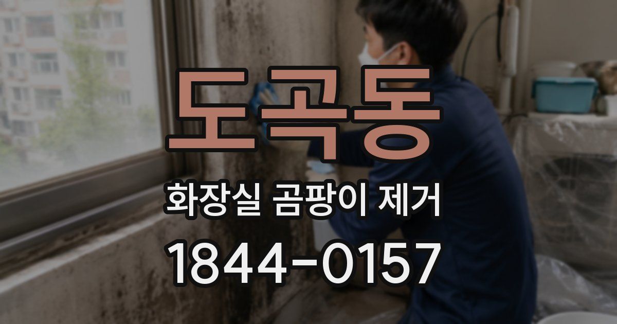 도곡동 화장실 곰팡이 제거