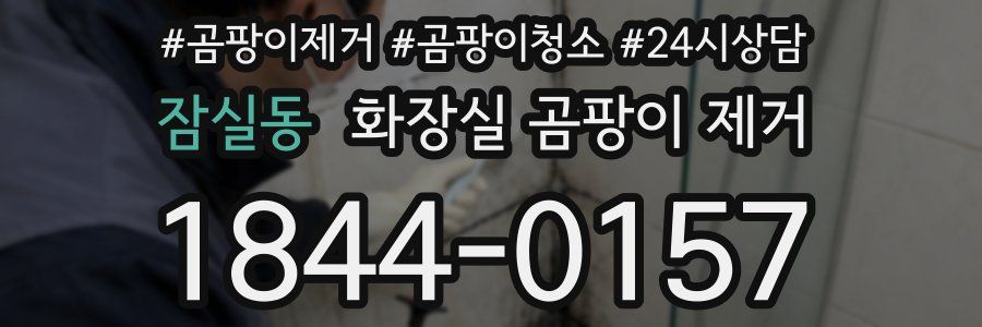 잠실동 화장실 곰팡이 제거