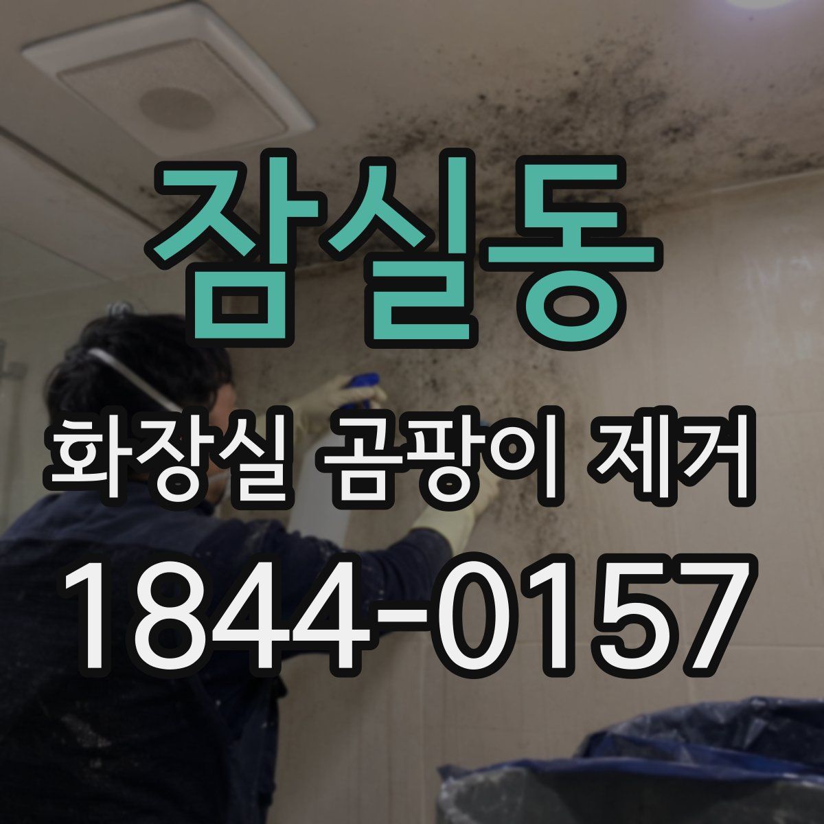 잠실동 화장실 곰팡이 제거