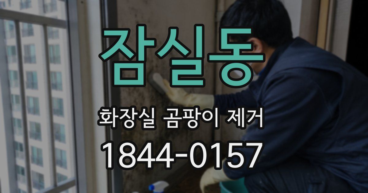 잠실동 화장실 곰팡이 제거
